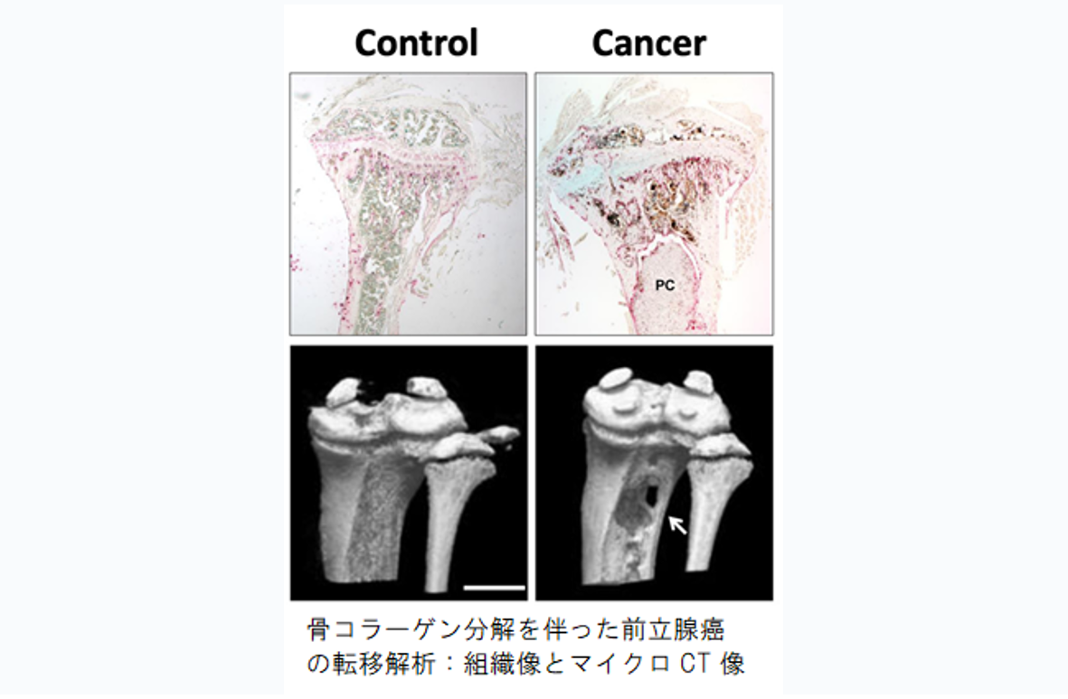 稲田チーム2024-1-9